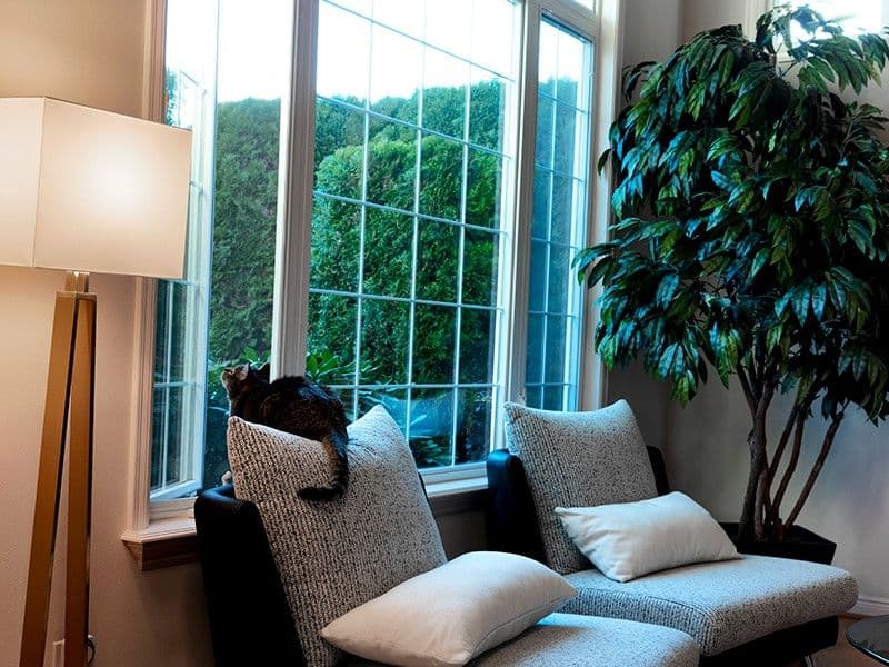 3308913b-0143-46fd-8069-04810c9f8193