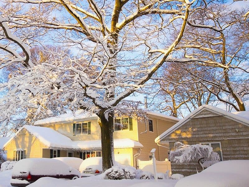 83dda511-3d5d-45d0-913d-a02b48213103