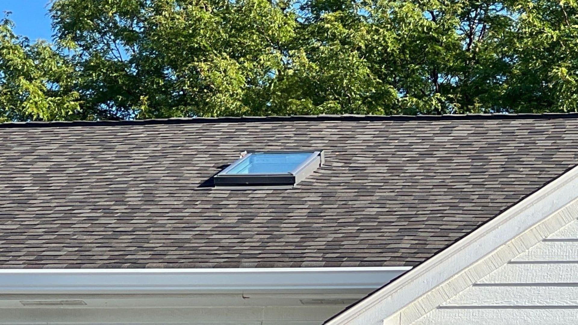 skylights hero