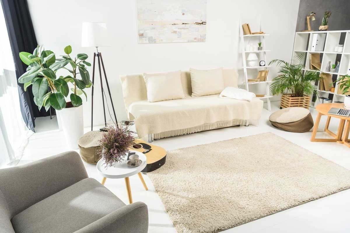 living room with rug