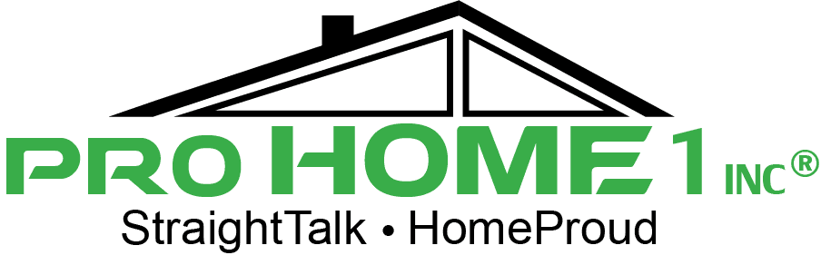 pro home 1 logo