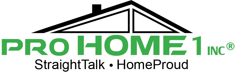 Pro Home 1 Logo