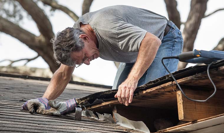 Roof Repair